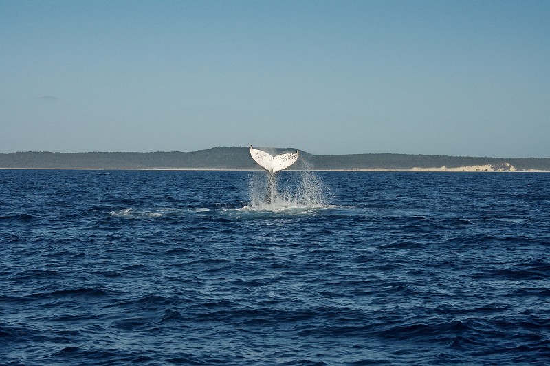 2009-11-06 22-04-31_3.jpg - ...und ab in die Tiefe!